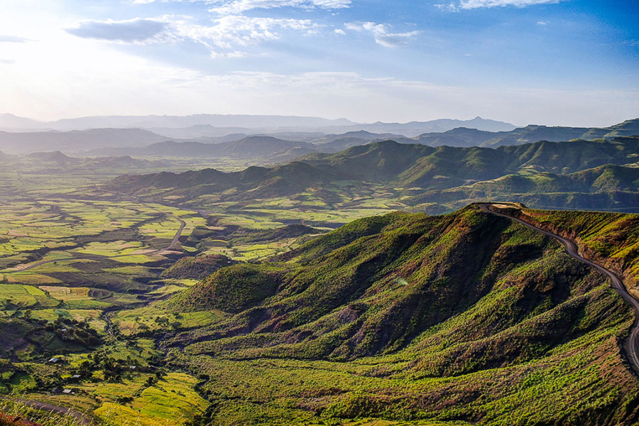 Hike in the Simien Mountains and witness the natural refuge of creatures such as the Ethiopian Wolf and the Lammergeier.