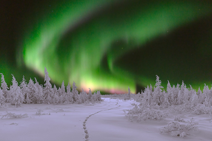 With professional photographer Fredrik Broman as a host, you are sure to capture impressive pictures of the Lights.