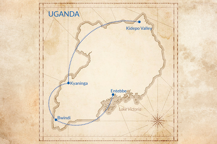 Trip map