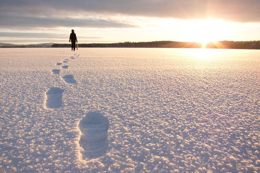 Either on snowshoes, fatbikes or kicksleds: explore the arctic landscape.