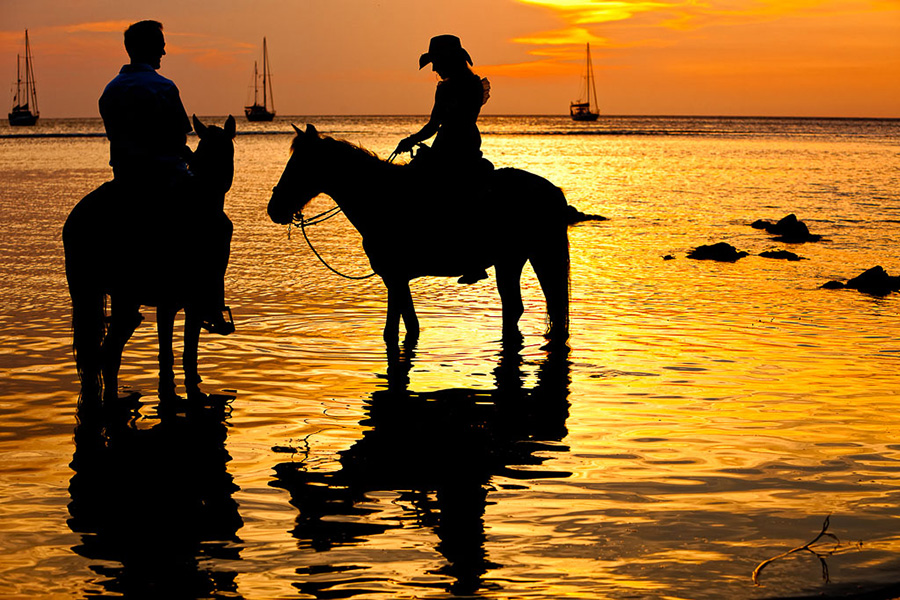 Arrive at a luxury resort in the private Island of Ratua and swim with horses in the ocean.
