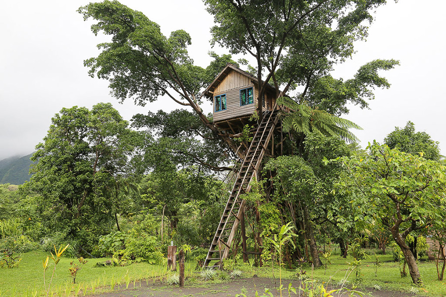 Stay overnight in a tree-house overlooking Mount Yasur. Witness the fire go up into the sky from your window.