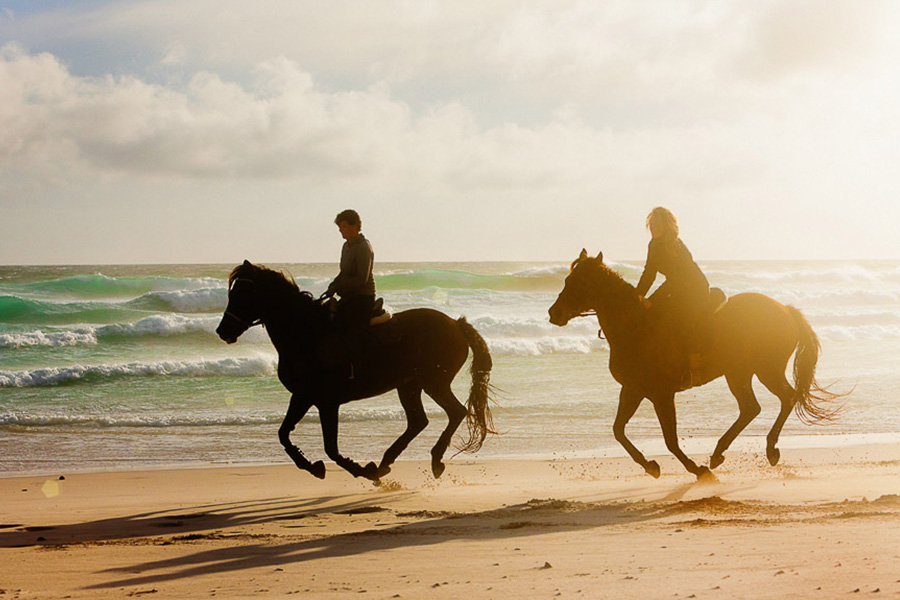Discover the inner island on horseback, and ride through lush mountain ranges.