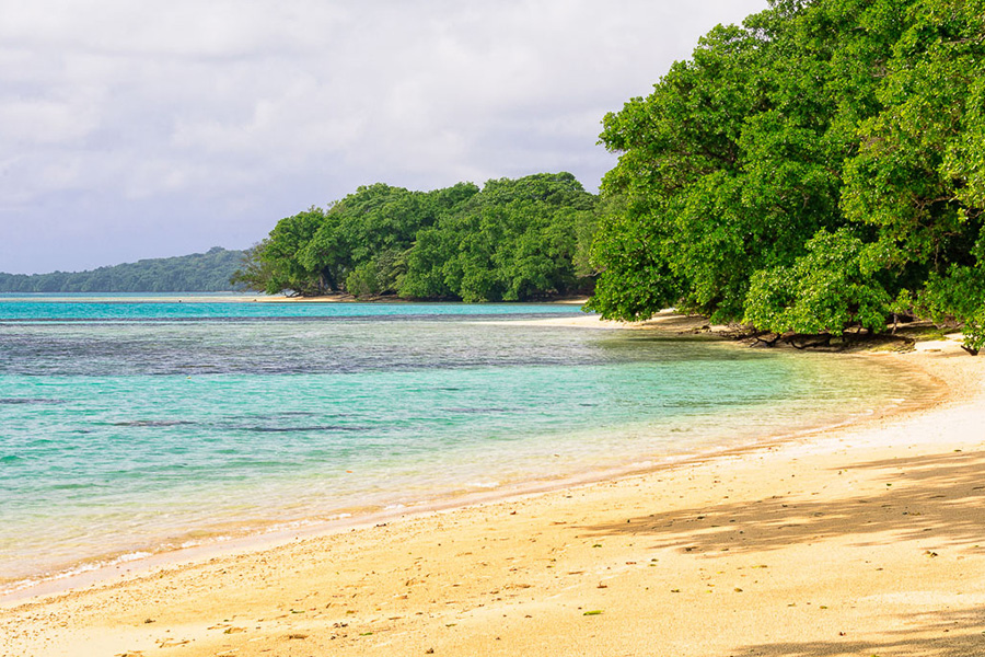 Set into the rhythm of a South Pacific Island. Visit pristine beaches, kayak in blue lagoons, and have lunch with the locals.