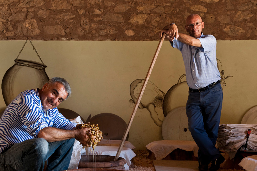 Depending on the season, partake in the grape and olive harvests, on family run wineries and groves.