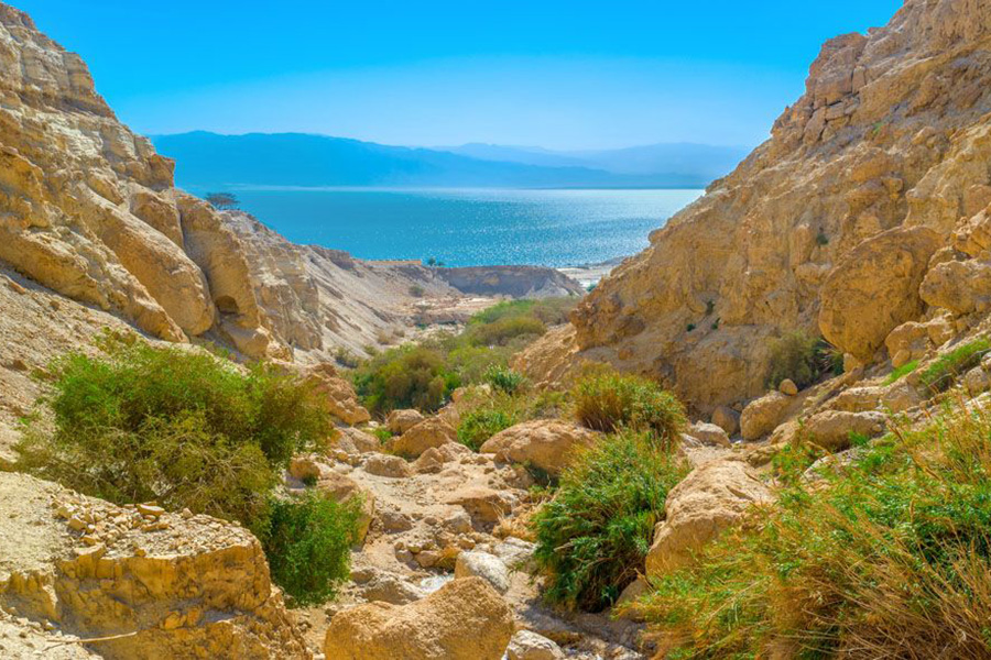 Explore the Judean Desert, a place filled with impossible landscapes and tragic history.