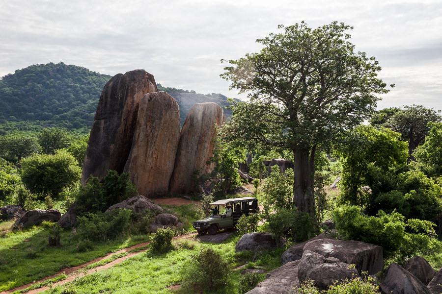 Explore Ruaha National Park, Tanzania’s largest. It holds a large herd of elephants and numerous prides of lions.