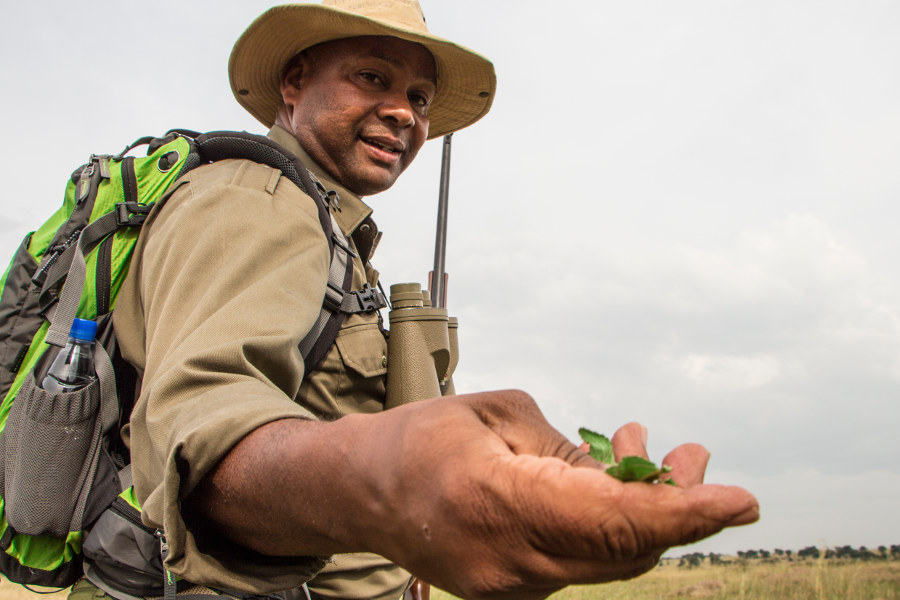 Benefit from guides and friends that have a deep knowledge of the wilderness.