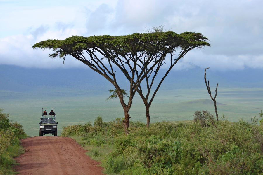 Surrender to captivating landscapes in the Tanzanian Highlands. Explore the Ngorongoro Conservation Area from a stylish dome as your base.