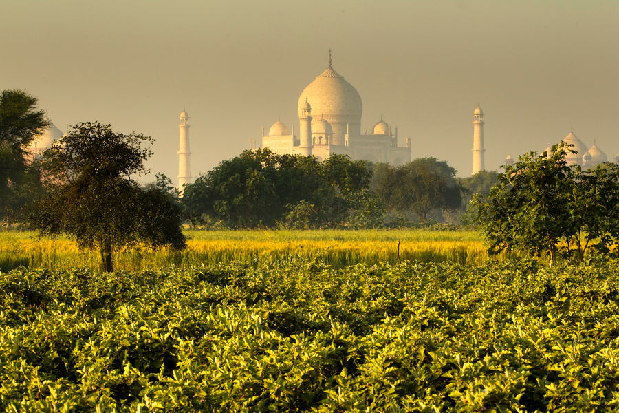 Explore Indian culture through its people. Walk in agricultural areas and learn of traditions that have stood the test of time.