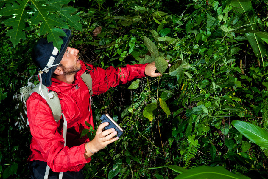 Go deep and join scientific expeditions to unveil the immense biodiversity and wealth of the rainforest.