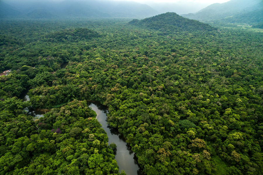 Travel to a region no commercial expedition can reach, and enjoy untouched areas of the Amazon rainforest.