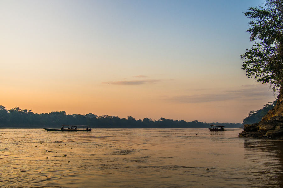 Venture up the Tambopata river to a protected area that is twice the size of Costa Rica.