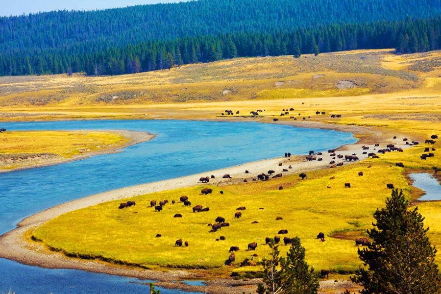 For those with the heart of the pioneer. Discover the scenic beauty of the Grand Tetons, and the great outdoors’ favourite child: Yellowstone National Park.