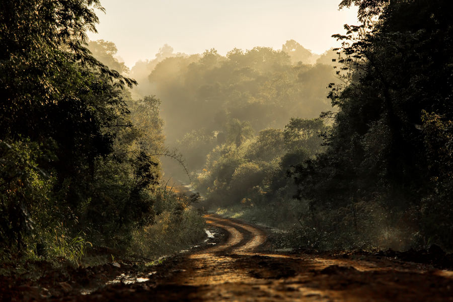 Visit regions of Borneo such as Darum, that are rarely visited by tourists.