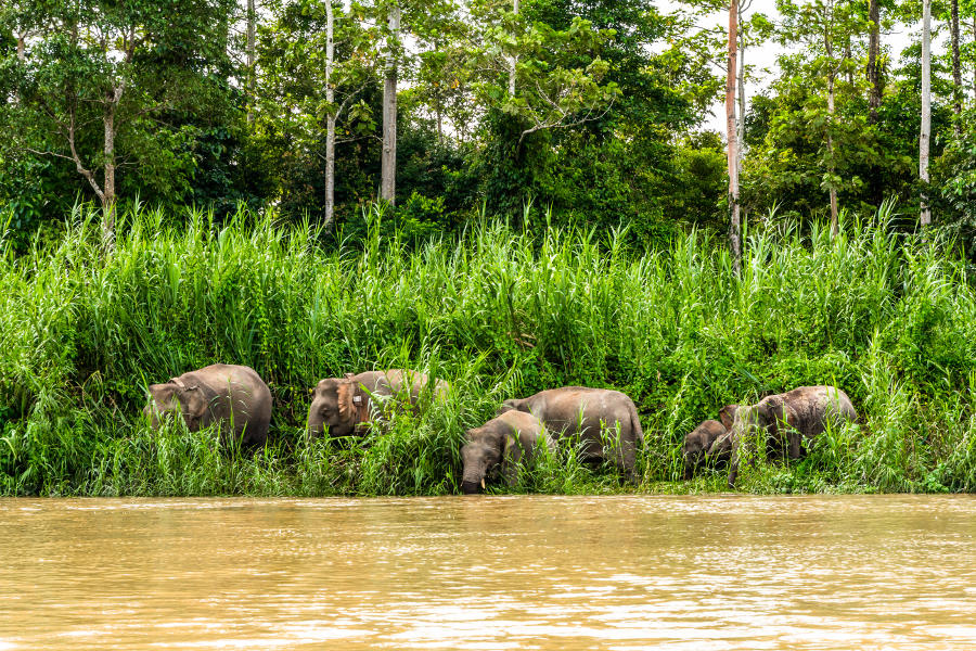 Enjoy nature that befuddled even Darwin himself. And you get to experience it from the perspective of the explorer.