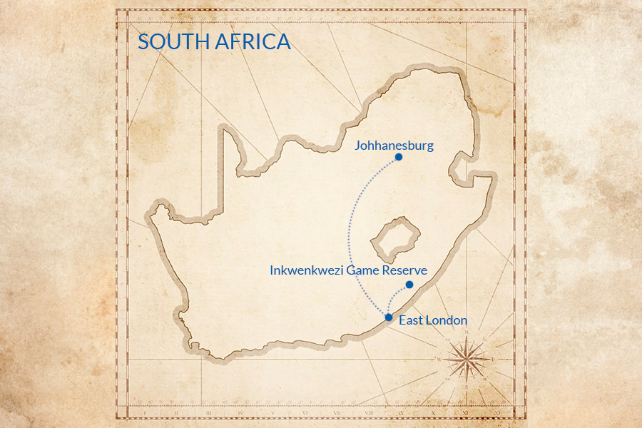 Trip map