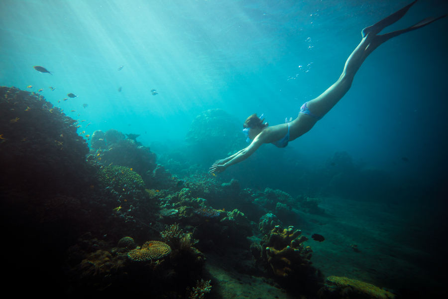 Sail around the Ring of Fire, the powerful aftermath of the volcanic forces that have shaped Indonesia. Discover unparalleled biodiversity and enchanting nature.