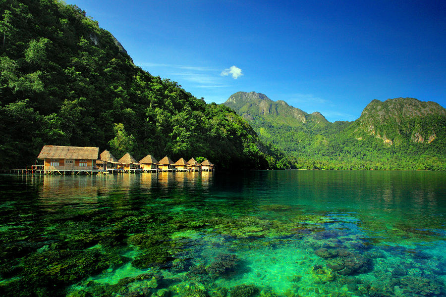 Explore the 16th century trade routes centred around the Spice Islands.