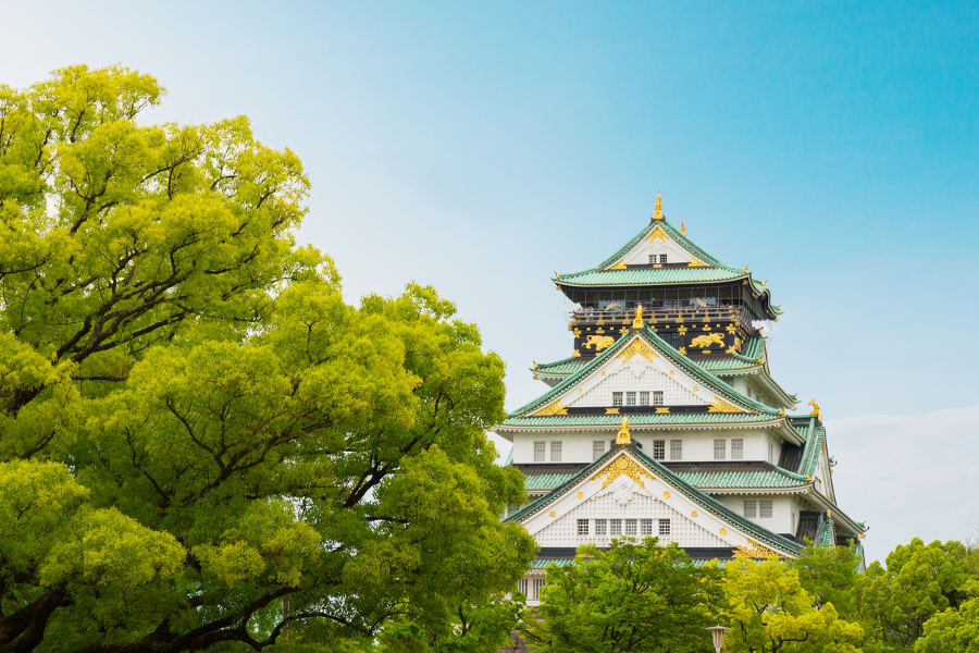 Enjoy historical sites around Osaka with private guides that are expert storytellers.