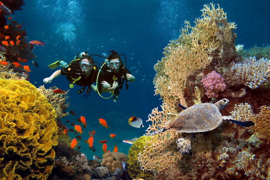 Explore world renowned diving sites that are a short boat trip away from the resort. All levels are welcome, the fully-certified guides and instructors will show you wonders underwater.