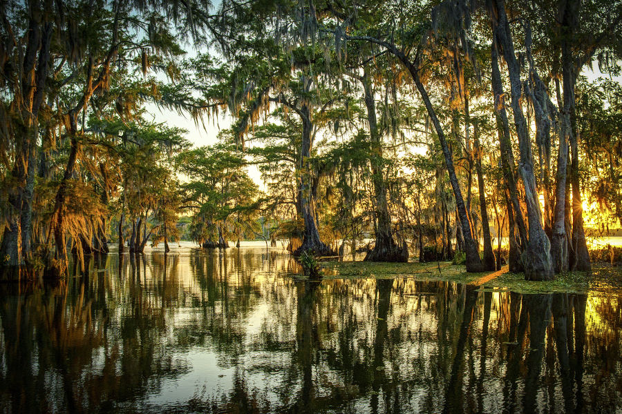 Venture into the impenetrable Louisiana Bayou aboard a High-speed airboat.