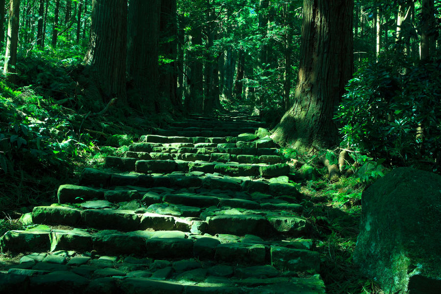 Hike in the trails of the Kumano Kodo and make a pilgrimage to ancient Shinto shrines.