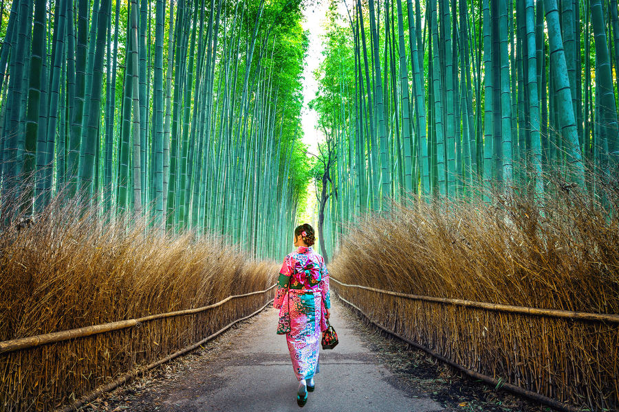 Blend the flavours of Japan with culture, history, and nature.