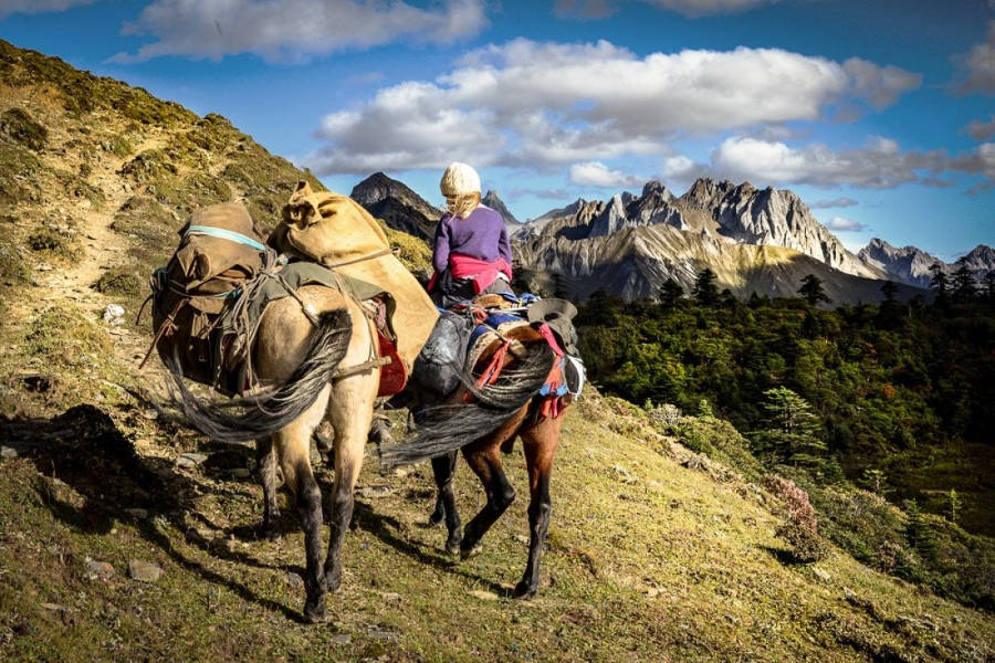Honour the landscape as you make your way across Yunnan alongside a horse caravan. Travel in the traditional fashion, with some added comforts.