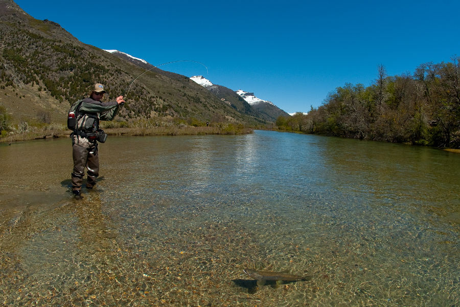Quillen River offers the best dry fly fishing.