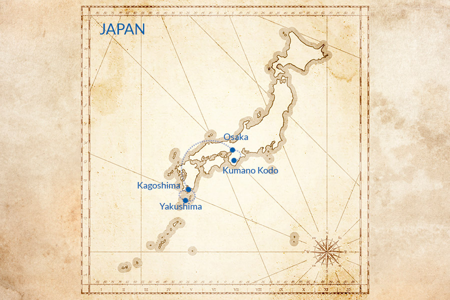 Trip map