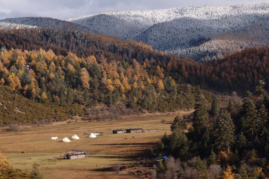 Retrace the ancient tea route that drove trade between China and Tibet.