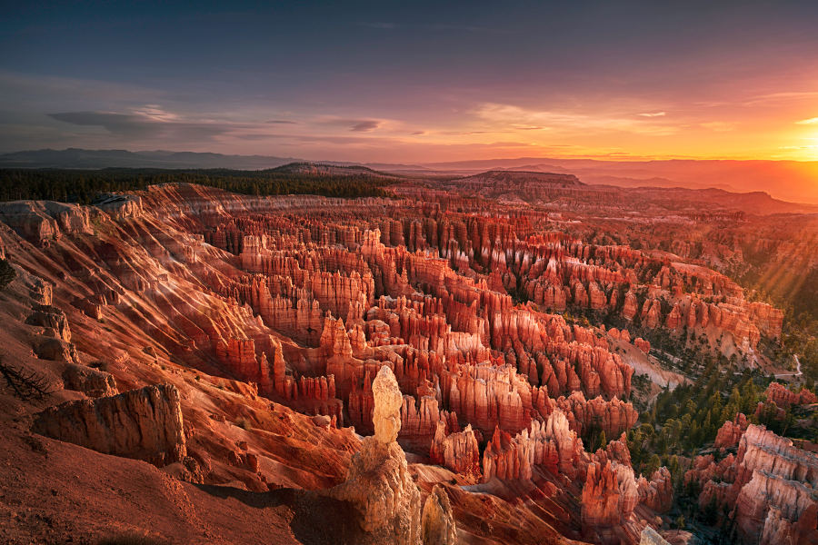 Discover the unique geological features of the American Southwest as you explore the Grand Canyon, Sedona, and Zion National Park.