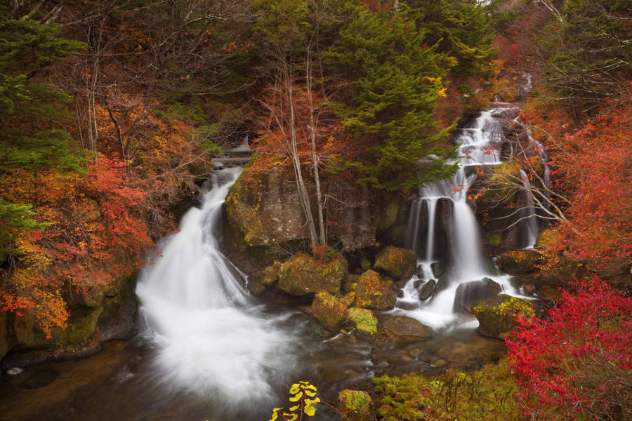 Explore the inspiring natural landscape north of Tokyo and discover landmarks that have influenced the Japanese artistic sensibilities.
