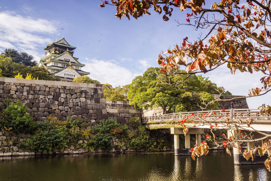 Enjoy the best of Japanese traditional architecture as expert guides take you through the riveting stories that shaped Japanese culture.