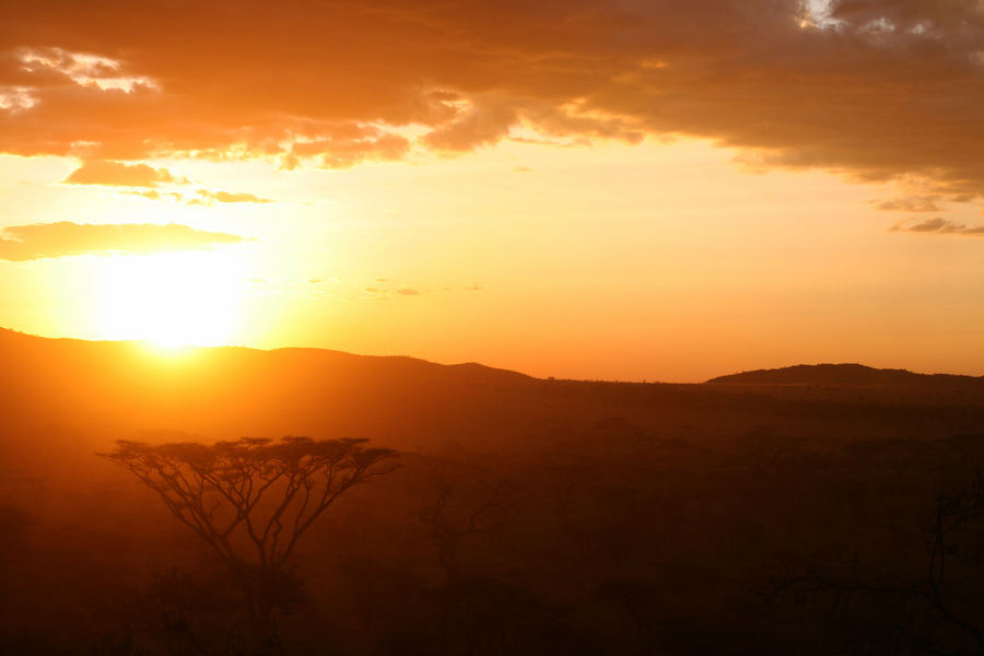 After a long days of hiking and walking with lions, enjoy luxurious sundowners and recharge strength in your private 3x3 tent.
