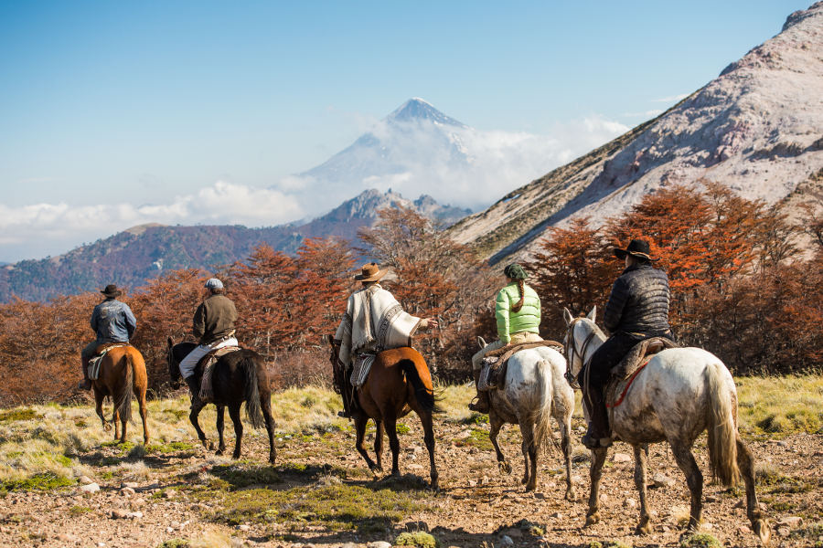 Saddle up, check your rein, and head out to the great South American wilderness.