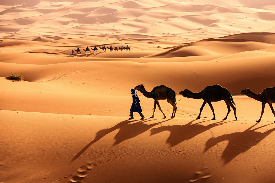 Follow ancient caravan routes and witness the true beauty of the Sahara.