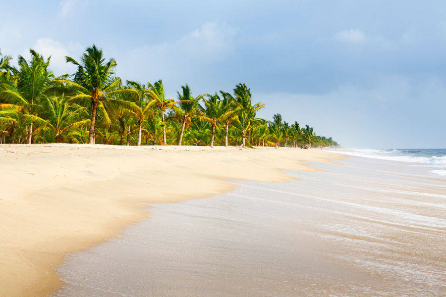 Discover an alluring Paradise in the Indian coast of the Arabian Sea, from lovely beaches to tranquil farms.