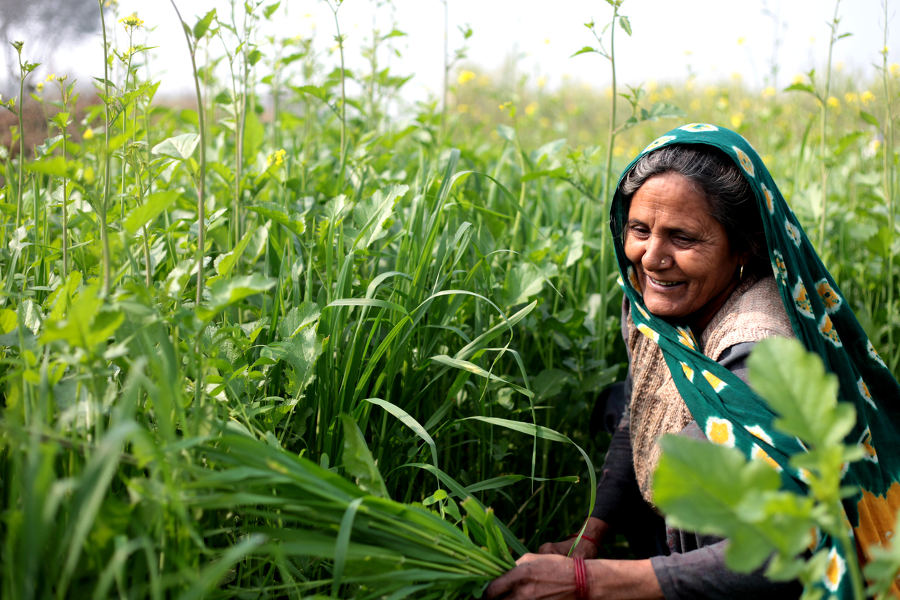 Interact with the communities that live near the parks and play a key role in conservation efforts.