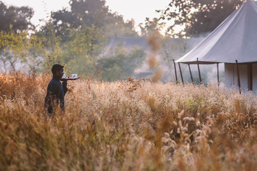 Stay in luxury camps and lodges that will enchant your senses.