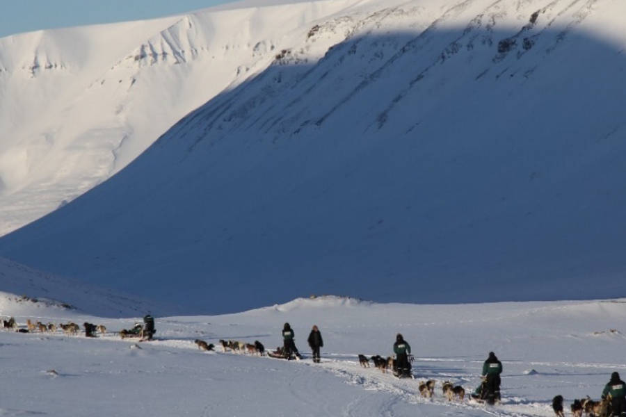 Join a group of like-minded adventurers and experience the Norwegian Arctic in all its glory: from the emblematic Lofoten to the mysterious Svalbard.