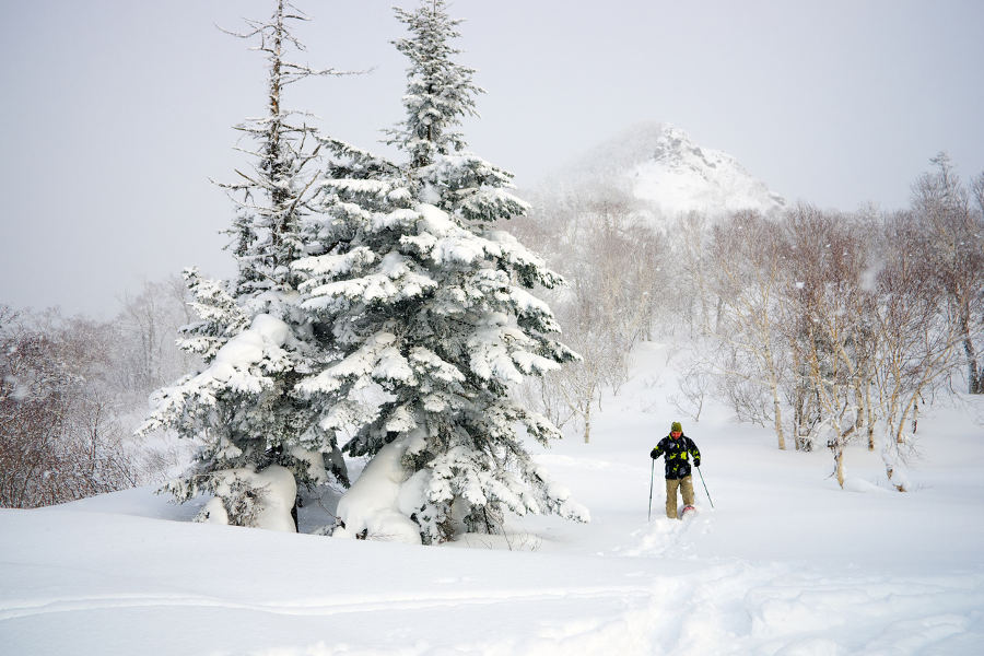 Traverse the white desert on snowshoes and, just because it is so huge, hop on a snowmobile to get back to town.