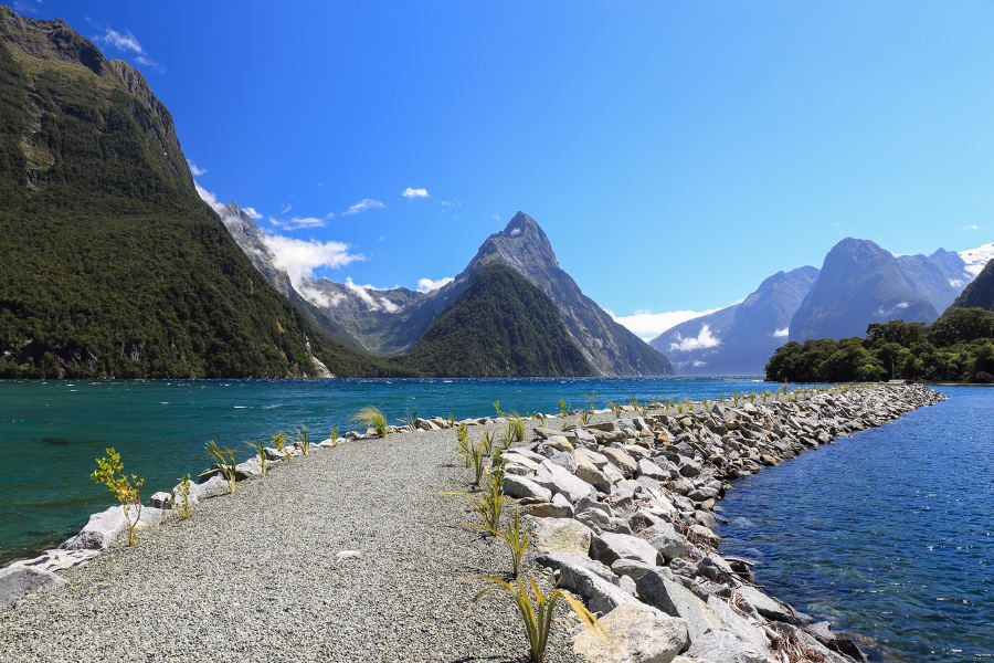 Hike in trails that highlight the best of the region’s nature: Milford, Routeburn and Kepler tracks.