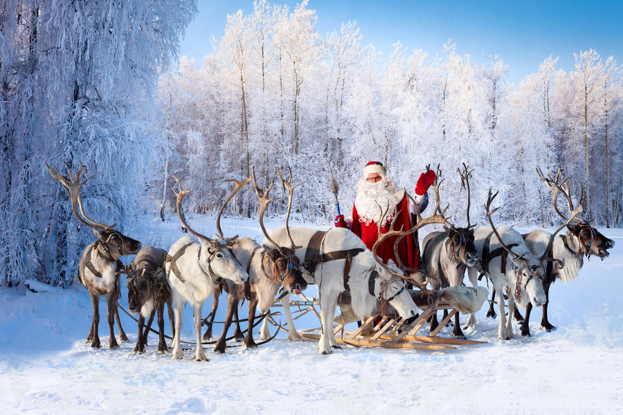 Venture into the snowy forests on a reindeer sleigh and chance upon a cabin in the woods. Who should live there but Santa himself?