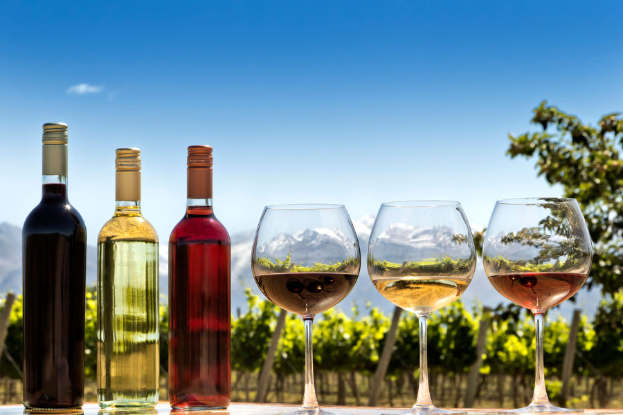 Delight from a fresh gastronomical approach, drink excellent wines and experience a world-class culinary adventure.
