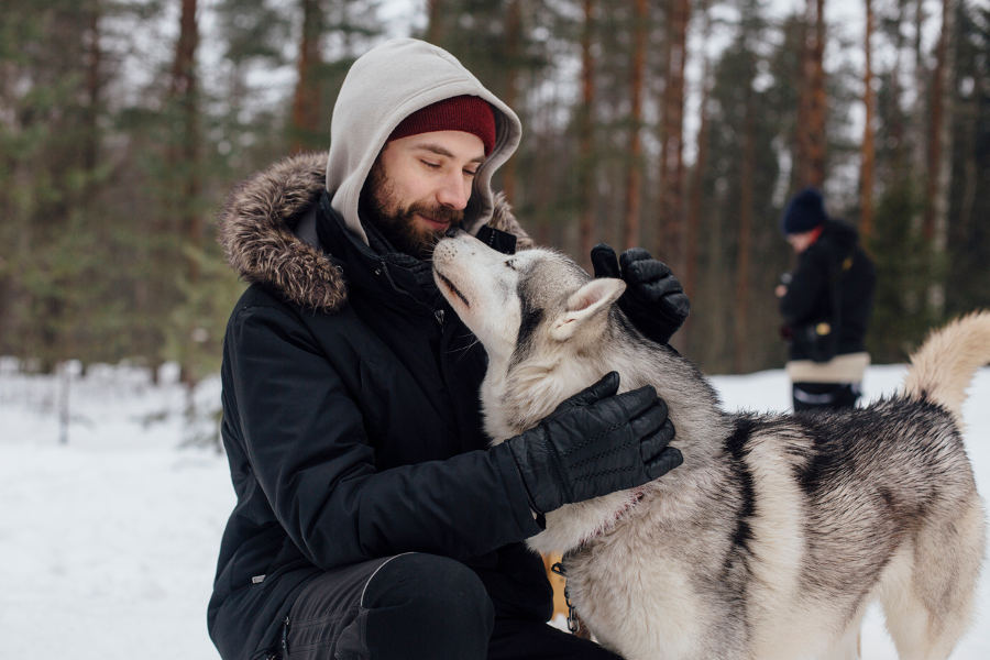 Learn what’s behind Husky breeding and enjoy an exciting dogsled ride.