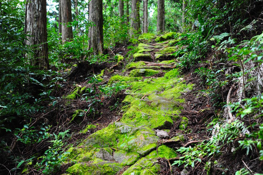 This is a challenging trail and an unforgettable accomplishment once you complete it.
