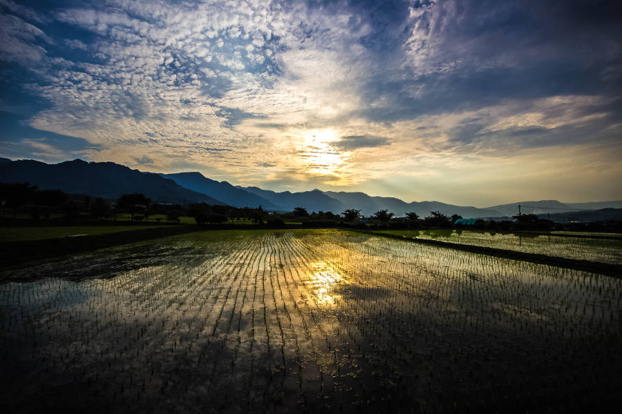 Enjoy local delicacies, and get to deeply know an area that captures the spirit of a nation: its heartland.