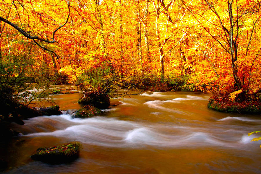 Enjoy a hiking experience that is easygoing and allows you to experience your surroundings at your leisure.